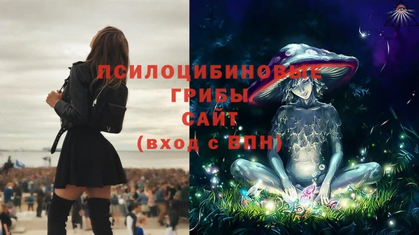 альфа пвп Нягань