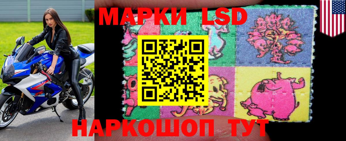 Кингисепп  Вход с VPN  МАРИХУАНА  ГАШИШ  МЕФ  Мяу-Мяу  COCAIN  Купить наркотики цена  Конопля 