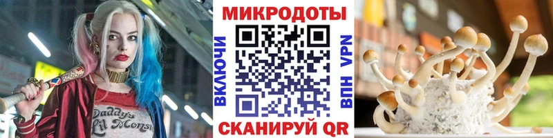 Галлюциногенные грибы MAGIC MUSHROOMS  хочу   мега ССЫЛКА  Кингисепп 