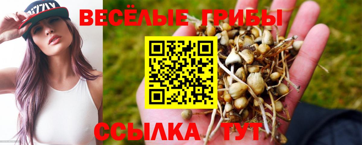 Галлюциногенные грибы мухоморы Кингисепп