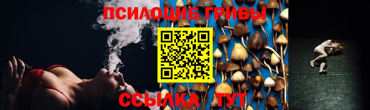 Галлюциногенные грибы MAGIC MUSHROOMS  Вход с VPN  Кингисепп  Галлюциногенные грибы Psilocybe 