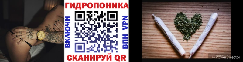 Шишки марихуана сатива  Кингисепп 