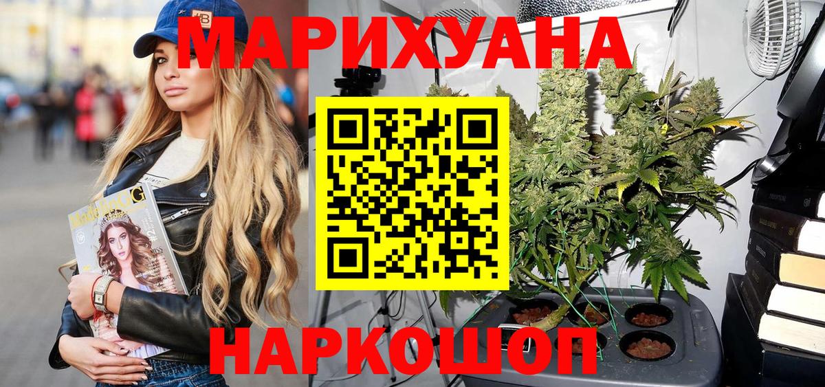 Канабис сатива Кингисепп